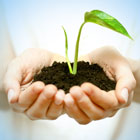 Visit Our Fertilizer & Seed Products Page