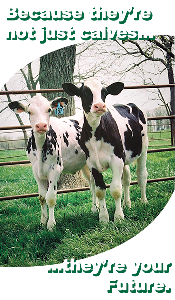Hartville Feed Dairy Calf Products